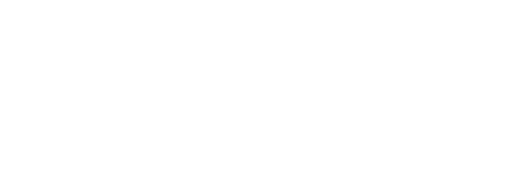 Logo Pinturería Silva
